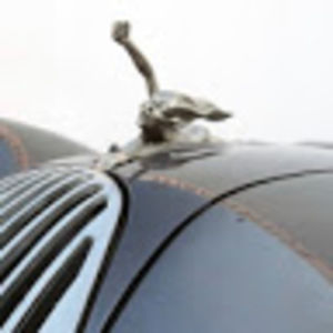 Meet your Posher, Henry